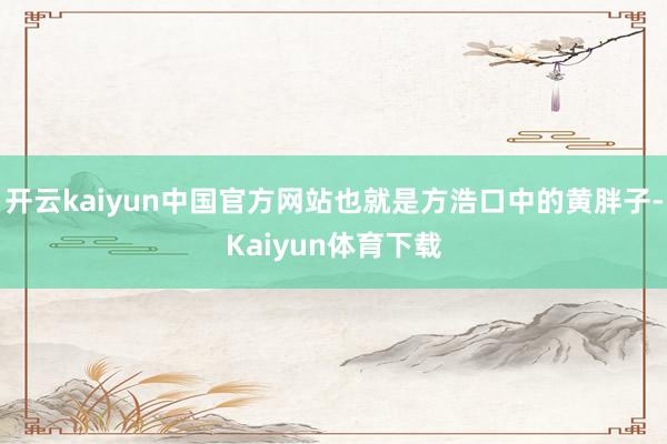 开云kaiyun中国官方网站也就是方浩口中的黄胖子-Kaiyun体育下载