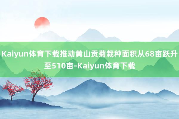 Kaiyun体育下载推动黄山贡菊栽种面积从68亩跃升至510亩-Kaiyun体育下载